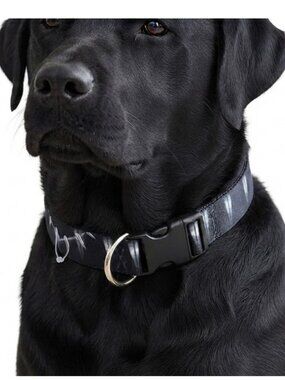Buckle Down Marvel Black Panther Tooth Necklace Dog Collar Large 15-26 in NWT
